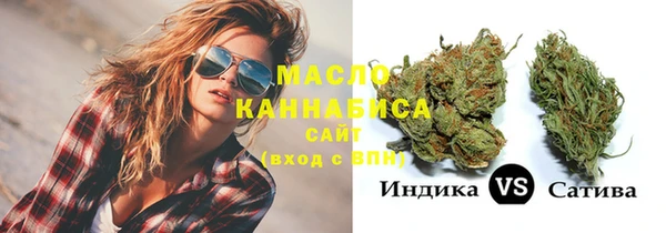 шишки Арсеньев