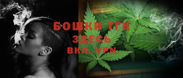 шишки Арсеньев