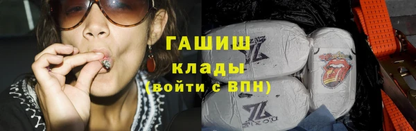 шишки Арсеньев