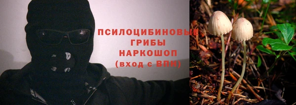 шишки Арсеньев