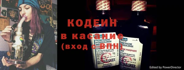шишки Арсеньев