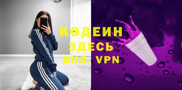 шишки Арсеньев