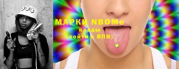 шишки Арсеньев