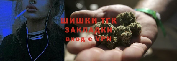шишки Арсеньев