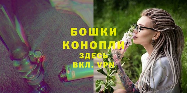 шишки Арсеньев