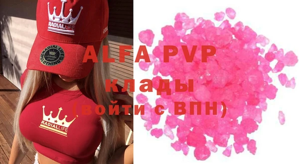шишки Арсеньев