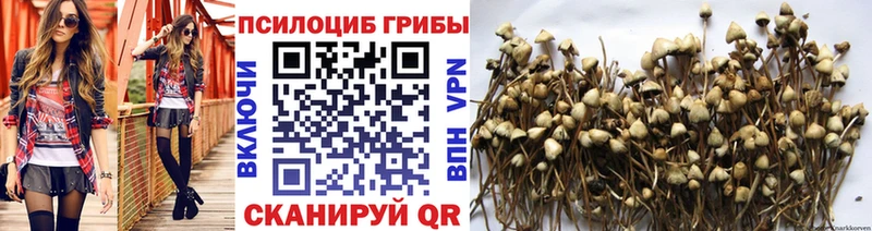 Псилоцибиновые грибы MAGIC MUSHROOMS Давлеканово